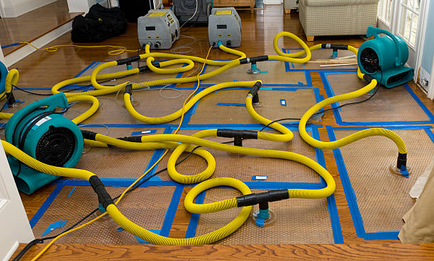 Professional Structural Drying And Dehumidification technician working in Orleans, MI